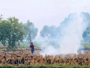 view-stubble-burning-is-not-an-insignificant-source-of-pollution-and-a-simple-solution-exists